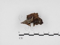 登錄號:F0024104藏品圖，第3張