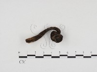 登錄號:F0024105藏品圖，第1張