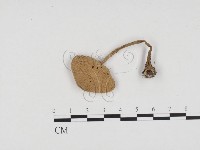 登錄號:F0024106藏品圖，第3張