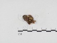 登錄號:F0024108藏品圖，第1張