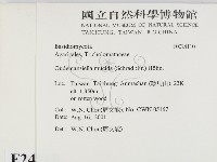 登錄號:F0024110藏品圖，第2張