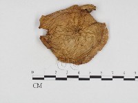 登錄號:F0024110藏品圖，第1張