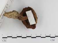 登錄號:F0024113藏品圖，第3張