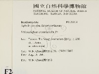 裂褶菌藏品圖，第2張