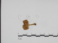 登錄號:F0024115藏品圖，第1張