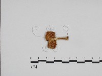 登錄號:F0024115藏品圖，第3張