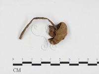 登錄號:F0024118藏品圖，第3張