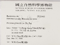 登錄號:F0024121藏品圖，第2張