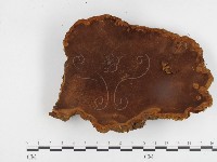 登錄號:F0024121藏品圖，第3張