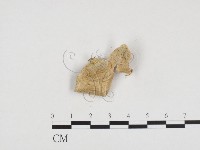 登錄號:F0024122藏品圖，第1張