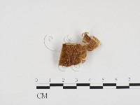 登錄號:F0024122藏品圖，第3張