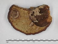 登錄號:F0024123藏品圖，第3張