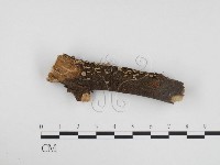 登錄號:F0024124藏品圖，第1張