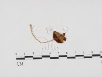 登錄號:F0024126藏品圖，第3張