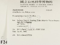 雲芝藏品圖，第2張