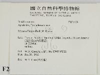 登錄號:F0024129藏品圖，第2張