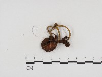 登錄號:F0024130藏品圖，第3張