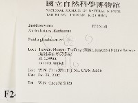 登錄號:F0024131藏品圖，第2張