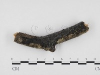 登錄號:F0024131藏品圖，第1張