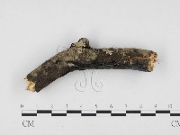 登錄號:F0024131藏品圖，第3張