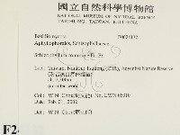 裂褶菌藏品圖，第2張