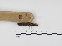 登錄號:F0024134藏品圖，第3張