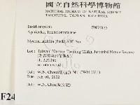 登錄號:F0024135藏品圖，第2張