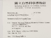 東方栓菌藏品圖，第2張