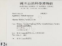 登錄號:F0024137藏品圖，第2張