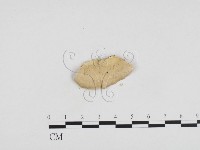 登錄號:F0024140藏品圖，第3張