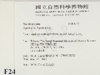 登錄號:F0024143藏品圖，第2張