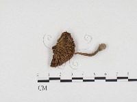 登錄號:F0024143藏品圖，第1張