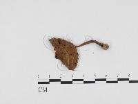 登錄號:F0024143藏品圖，第3張