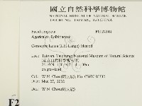 登錄號:F0024144藏品圖，第2張