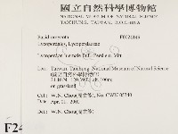 登錄號:F0024149藏品圖，第2張