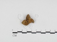 登錄號:F0024149藏品圖，第3張