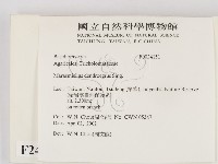 登錄號:F0024151藏品圖，第2張