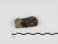 登錄號:F0024152藏品圖，第1張