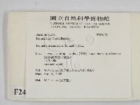 登錄號:F0024153藏品圖，第2張