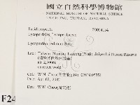 登錄號:F0024154藏品圖，第2張