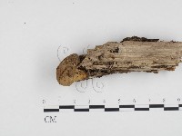 登錄號:F0024154藏品圖，第3張