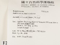 登錄號:F0024156藏品圖，第2張