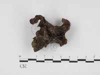 登錄號:F0024156藏品圖，第1張