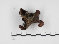 登錄號:F0024156藏品圖，第3張