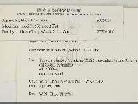 登錄號:F0024159藏品圖，第2張