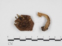 登錄號:F0024160藏品圖，第1張