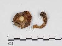 登錄號:F0024160藏品圖，第3張