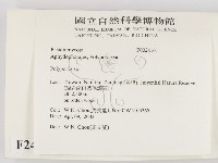 多孔菌屬藏品圖，第2張