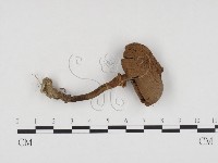 登錄號:F0024162藏品圖，第3張