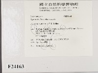 登錄號:F0024163藏品圖，第2張